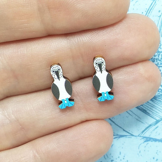 Wooden blue footed booby stud earrings held on hand