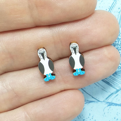 Wooden blue footed booby stud earrings held on hand