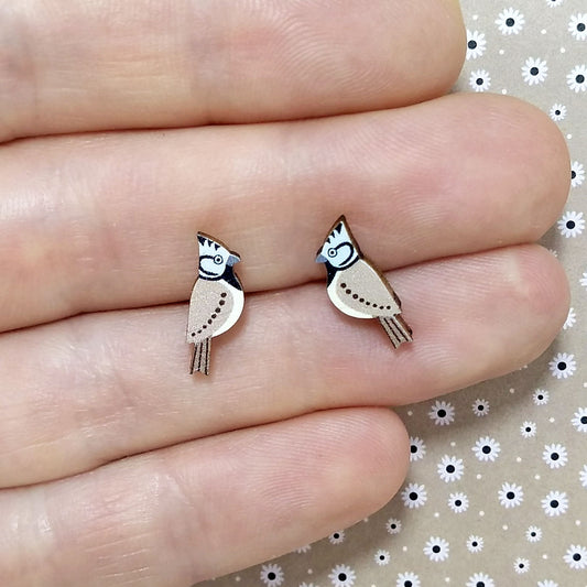 Wooden crested tit stud earrings held on hand