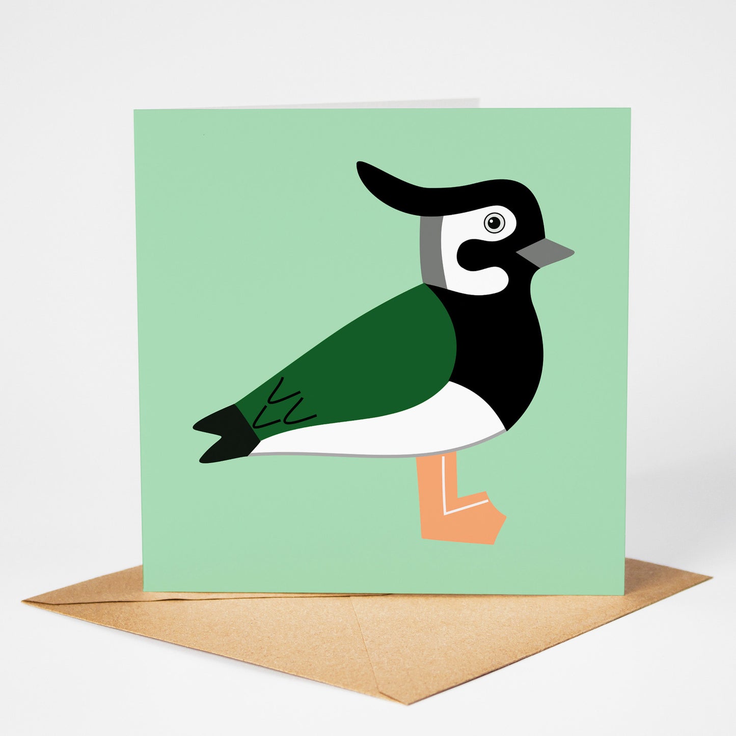 Lapwing card, standing on envelope