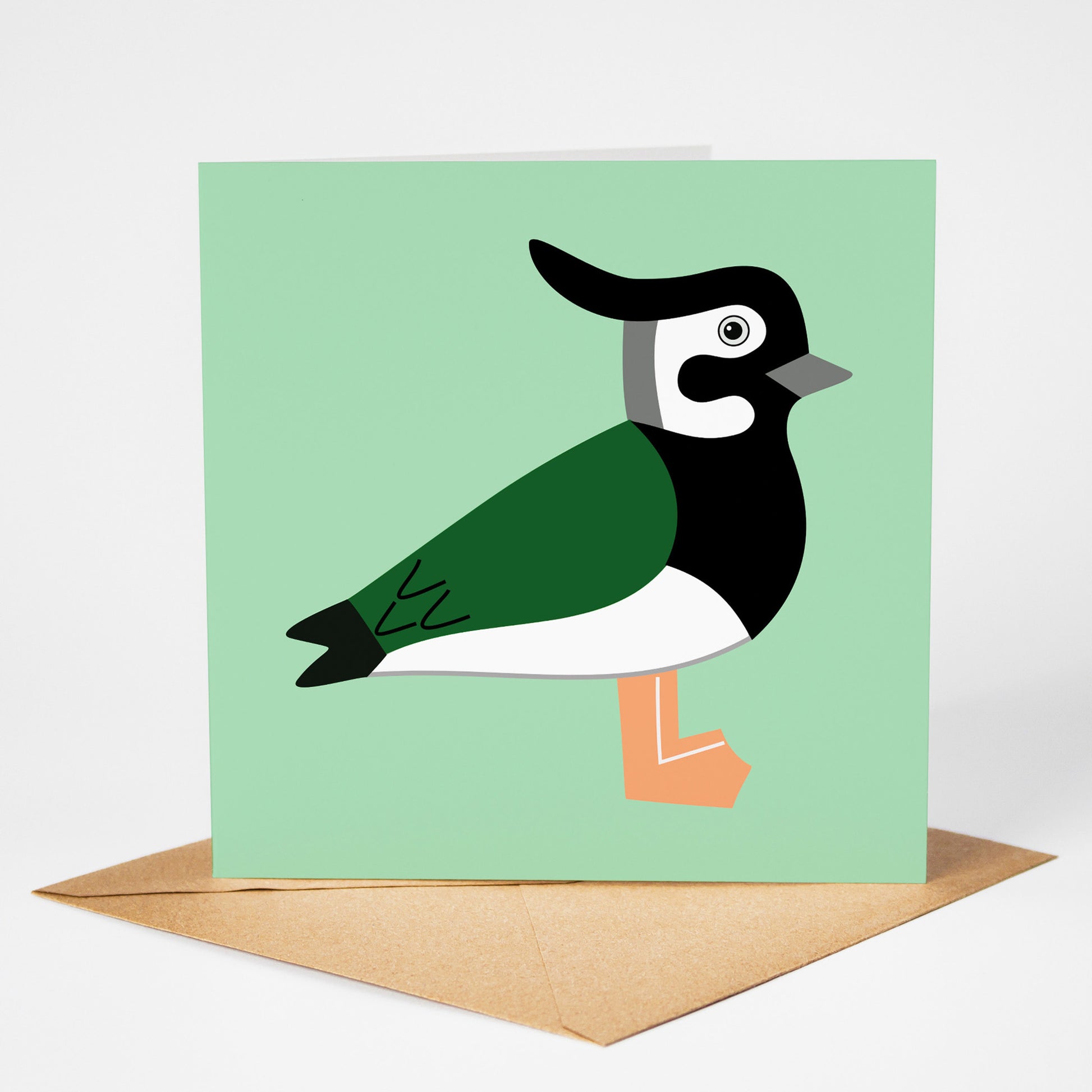 Lapwing card, standing on envelope