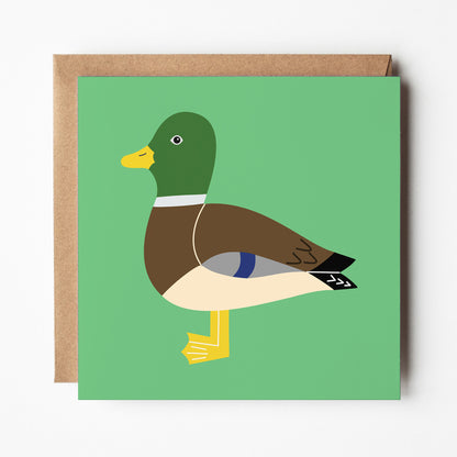 Mallard greeting card with envelope