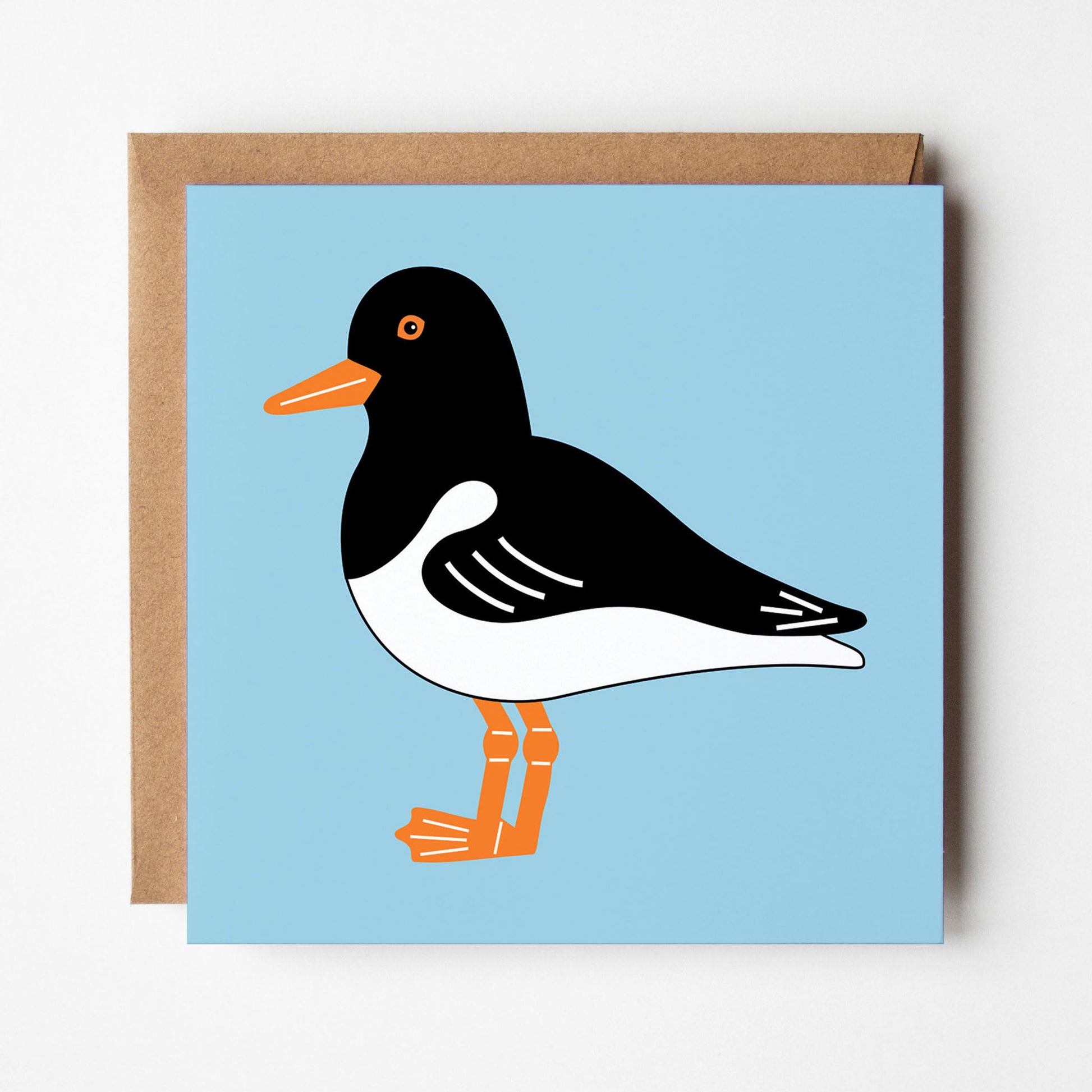 Oystercatcher greeting card with envelope