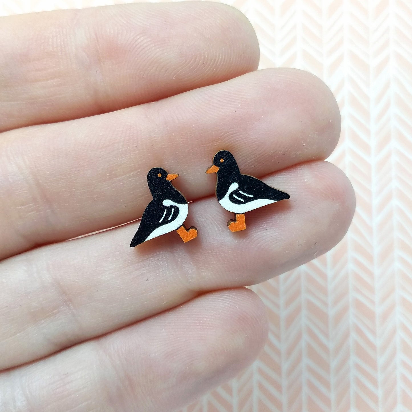 Wooden oystercatcher stud earrings held on hand