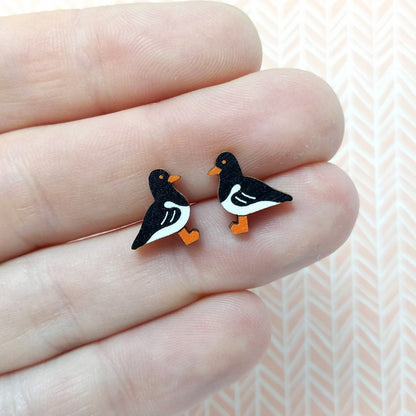Wooden oystercatcher stud earrings held on hand